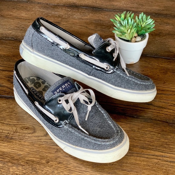 sperry wool shoes